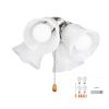 Ceiling Fan Light Kit, Four-Light 3000K 750lm Fan Light Kit with Pull Chain, Replacement Light Fixture for Living Room, Bedroom, Home Decor