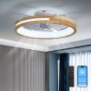 20 Inchs Ceiling Fans with Lights and Remote Low Profile Flush Mount Ceiling Fan with Light