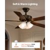 Ceiling Fan Light Kit, Four-Light 3000K 750lm Fan Light Kit with Pull Chain, Replacement Light Fixture for Living Room, Bedroom, Home Decor