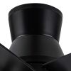 52 in. Black Lowe Profile Ceiling Fan with Light